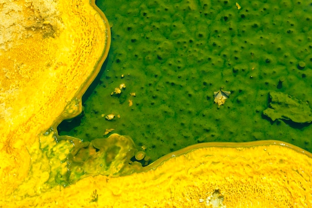 Foto textura de fundo natural de fontes termais de yellowstone com cores soberbas