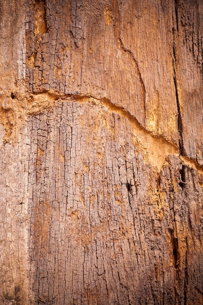 Textura de fundo velha placa de madeira marrom.