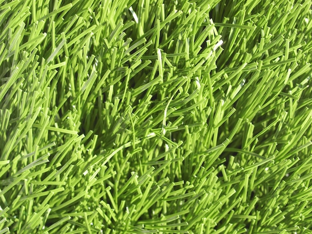 textura de grama artificial