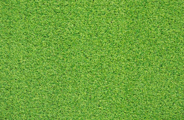 textura de grama para