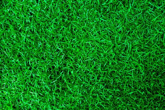 Foto textura de grama verde natural golfe perfeito ou fundo de campo de futebol vista superior