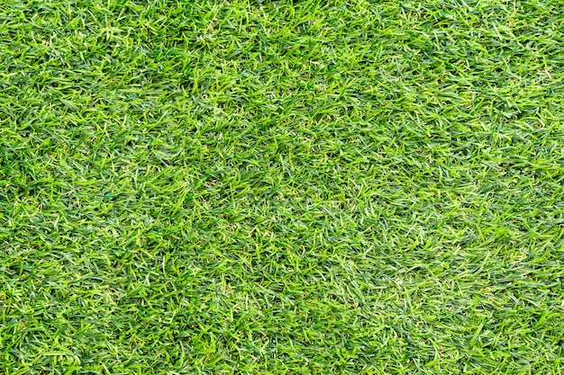 Textura de grama verde para segundo plano. Padrão de gramado verde e fundo de textura. Fechar-se.