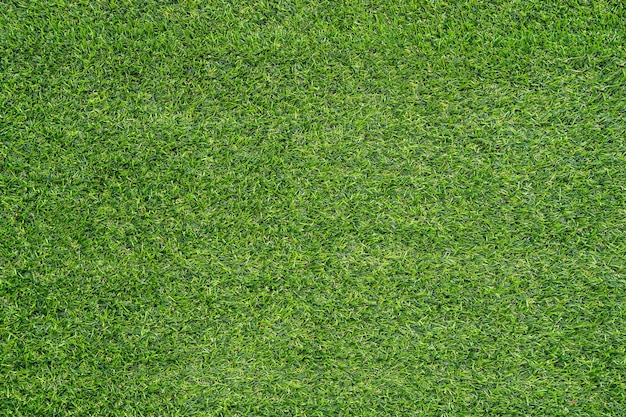 Textura de grama verde para segundo plano. padrão de gramado verde e fundo de textura. fechar-se.