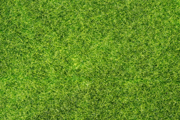 Textura de grama