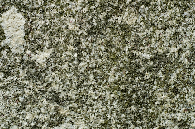 Textura de granito com musgo