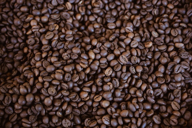 Textura de grãos de café ou fundo de grãos de café