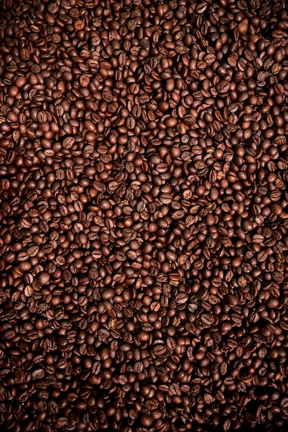 Textura de grãos de café