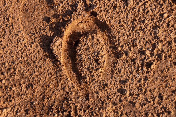 Foto textura de huella de herradura de caballo en la tierra dorada