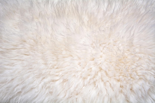 Textura de lã de ovelha natural Fundo quente macio branco