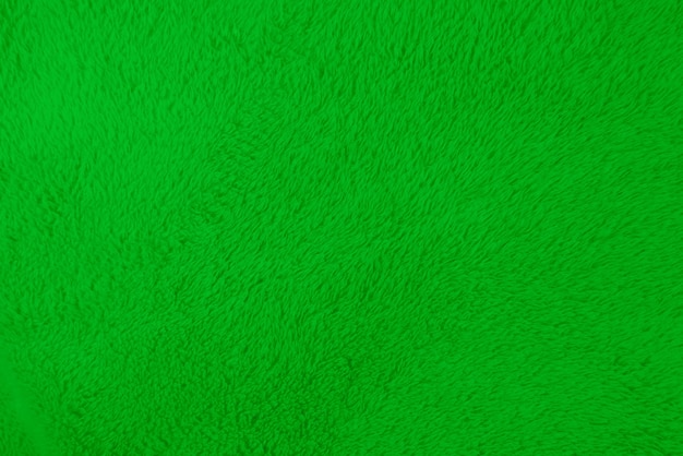 Textura de lã limpa verde luz de fundo de lã de ovelha natural textura de algodão verde sem costura de pele fofa para designers fragmento de closeup tapete de lã brancax9