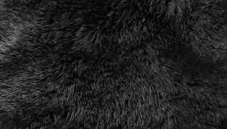 Foto textura de lã preta fundo de lã de ovelha natural escura textura de algodão sem costura preta de pelúcia cinzenta