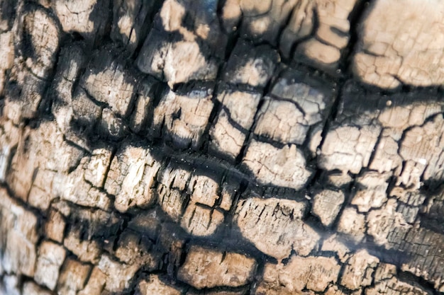 Textura de lenha em chamas