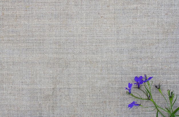 Foto textura de linho natural com pequeno buquê de flores violetas. fundo áspero de tecido natural.