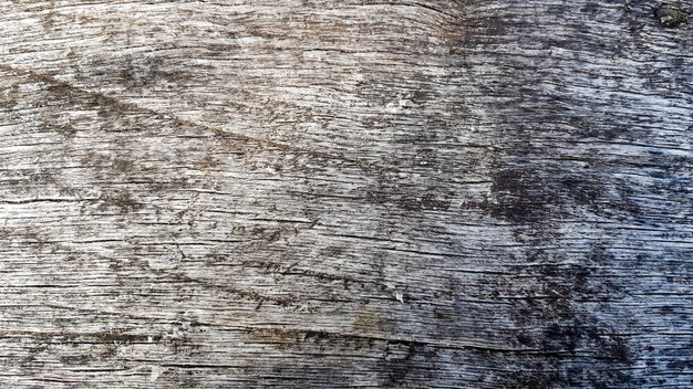Textura de madeira cinza velha close-up. Postura plana, espaço de cópia, fundo cinza vazio para o projeto.
