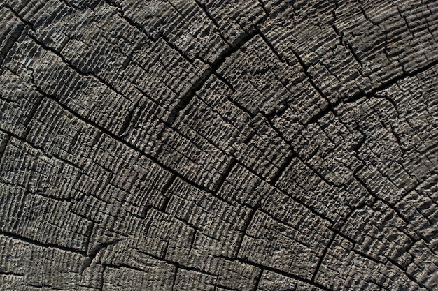 Foto textura de madeira com padrões naturais