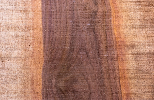 Textura de madeira de nogueira