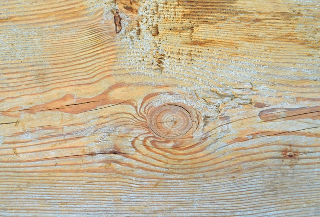 Textura de madeira detalhe