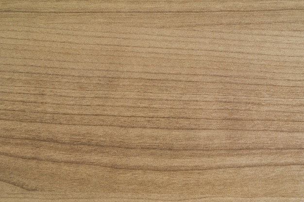Foto textura de madeira. fundo de madeira com padrão natural