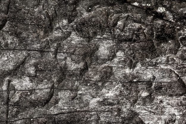 Foto textura de madeira rústica, vazia fundo de madeira macia
