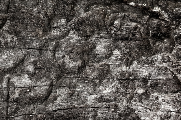 Textura de madeira rústica, vazia fundo de madeira macia