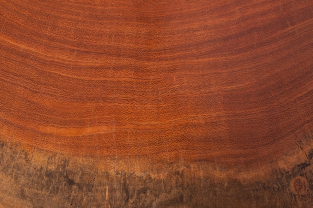 Foto textura de madeira rústica