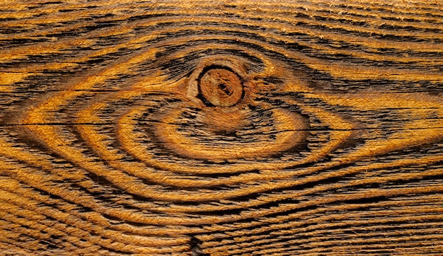 Textura de madeira velha close-up. padrão de madeira