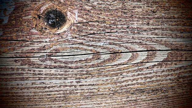 Textura de madeira velha closeup de toco rachaduras profundas na superfície de madeira passagens de insetos condição pobre de estruturas de madeira Efeito do vento e da água na madeira