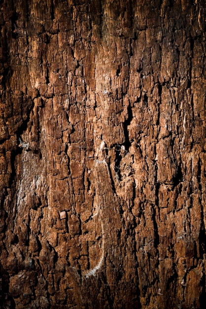 Textura de madeira velha com rachaduras Fundo de madeira velha rachada de alta resolução