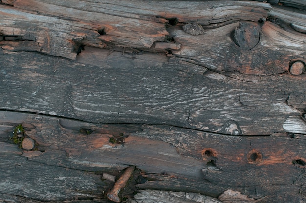 Textura de madeira velha escura ou Closeup
