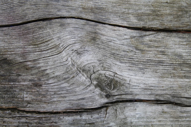 Textura de madeira velha, fundos naturais