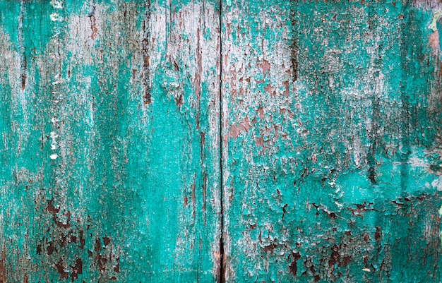 Textura de madeira velha pintada de verde