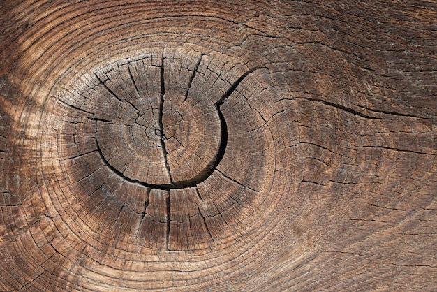 Textura de madeira velha