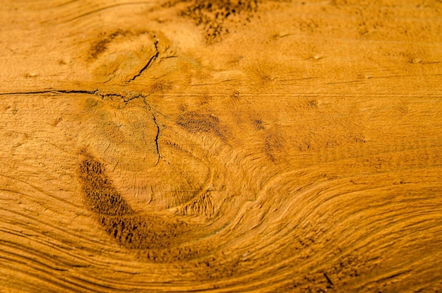 textura de madeira