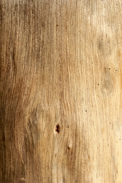 Textura de madeira.