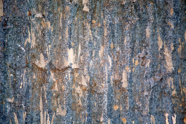 Textura de madeira