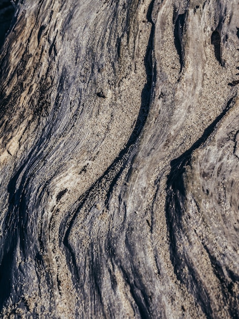 Textura de madeira.