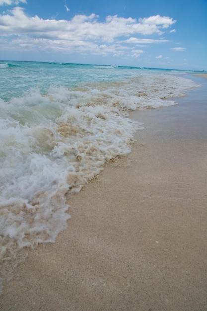 Textura de mar e areia de Cancun