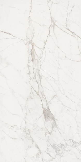 Textura de mármore branco
