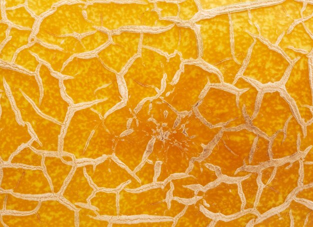 Textura de melão maduro amarelo, quadro completo