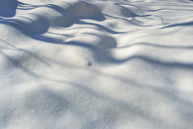 Foto textura de neve branca com sombras de árvores