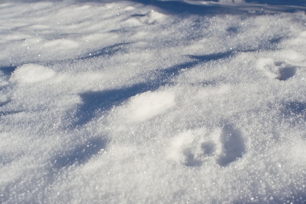 Textura de neve branca