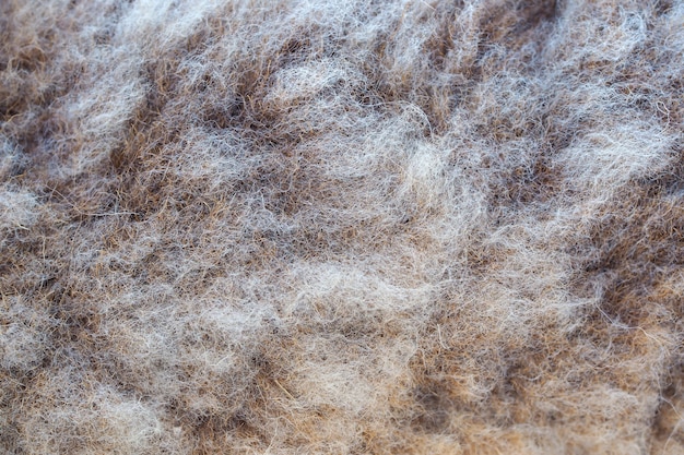 Textura de padrão de pele de lã marrom para o fundo