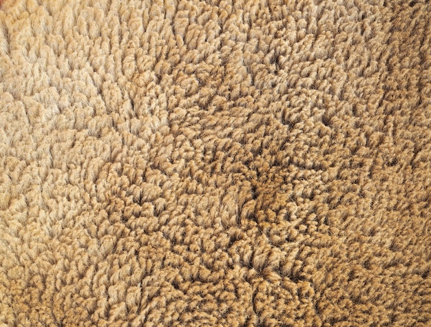 Textura de padrão de pele de lã marrom para plano de fundo