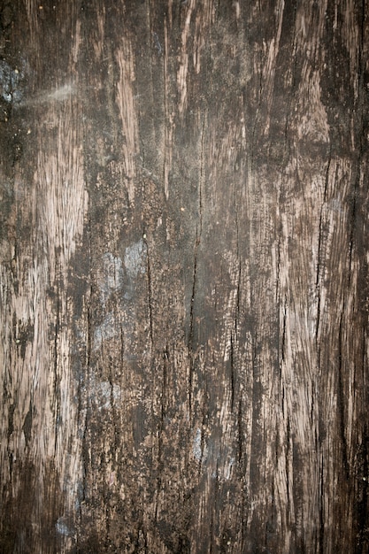 Foto textura de painel de madeira para o fundo