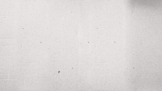 Textura de papel em branco 002