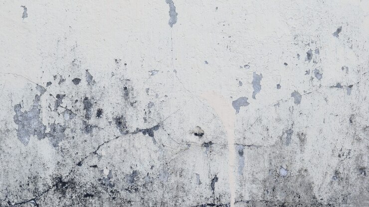 Textura de parede de cimento velha para o fundo