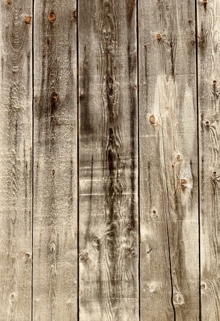 Textura de parede de madeira