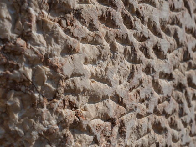 Textura de parede de pedra de granito