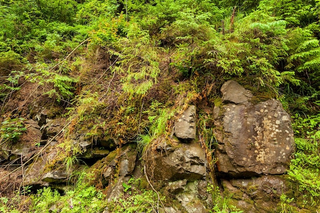 Textura de pedra a natureza da estrutura de uma substância sólida e a localização de suas partes