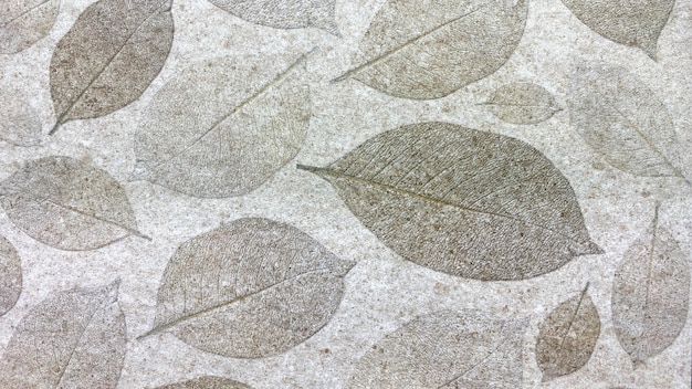 Textura de pedra fundo linda textura para design
